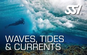 Waves, Tides & Currents brevet