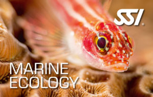 SSI Marine ecologie onderwater ecologie specialty brevet