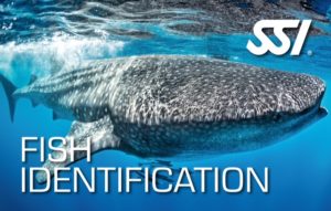 ssi specialty fish identification
