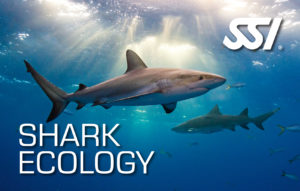 assi specialty shark ecology