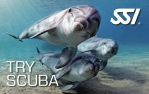 Try Scuba SSI proefduik