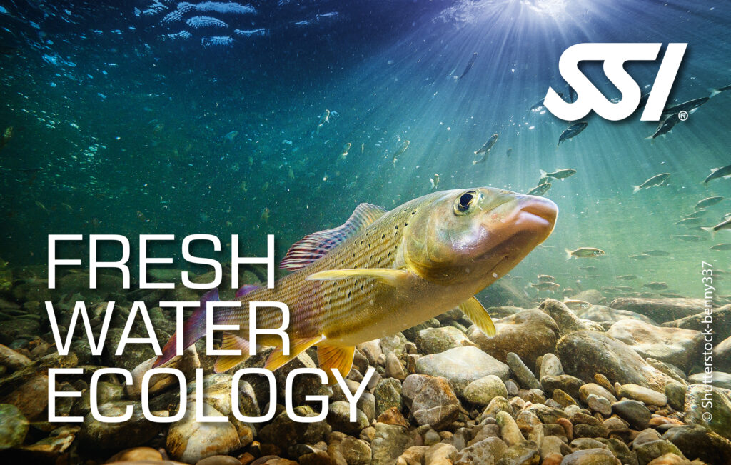 zoet water ecologie