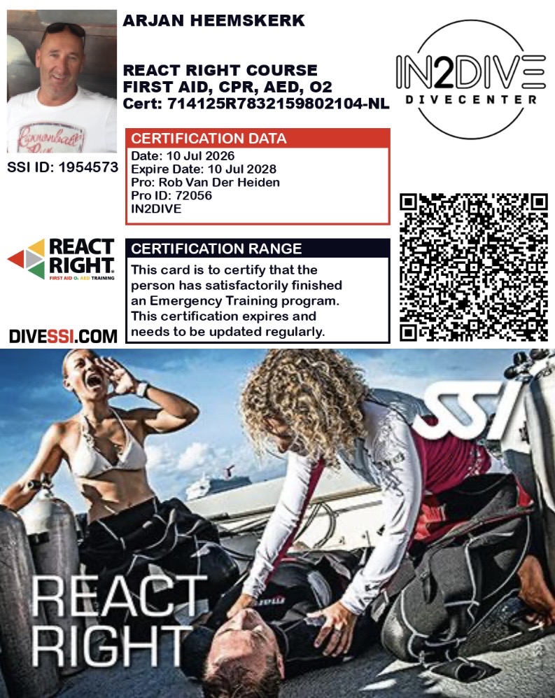 Ssi update react right brevet