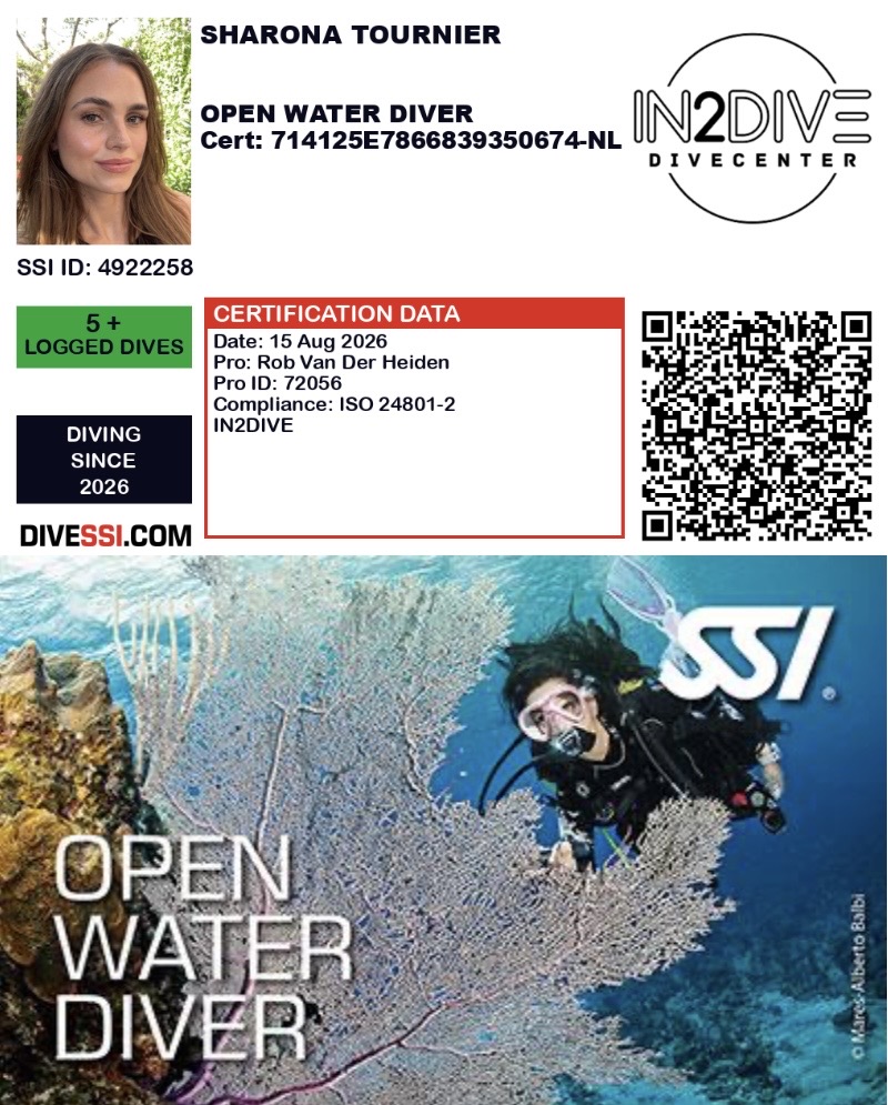 Open Water Diver brevet duikbrevet duik SSI